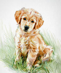 Pencil Colour character