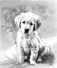 Black & White character