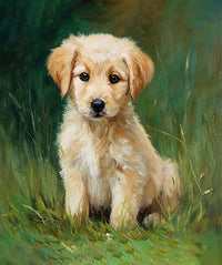 Oil on Canvas character